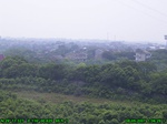 1032R0015346_tag.jpg