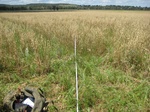 43129NSW001_L1.jpg