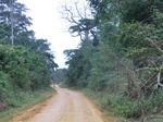 47895CIMG4232.JPG