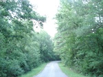 32350p82_s.jpg