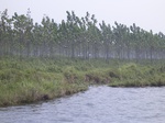 562R0015108.jpg