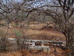 51939Tank ID 1800338 Thagghalli 1.JPG