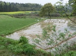 51670CIMG0501.JPG