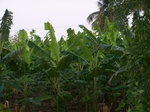 17616100_2557.JPG