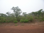 3973RIMG0277.JPG