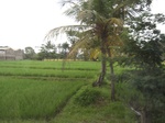 15794IMG_4883.JPG