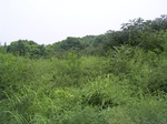 898R0015404.jpg