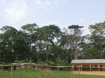 49699CIMG6036.JPG