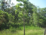 33353IMG_5693.JPG