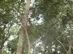 48376CIMG4713.JPG