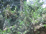 49061CIMG5398.JPG