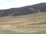 22830P1020066.JPG
