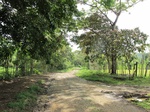 32000IMG_5557.JPG