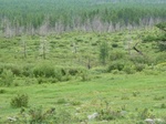 23785P1040864.JPG
