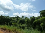 20587P1020444.JPG
