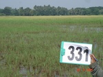 74970331c-rainfed-agriculture-rice-doublecrop-chickpea-greengram.jpg