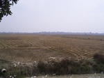 3264R0017298.JPG