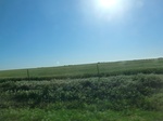 29101CIMG0583.JPG