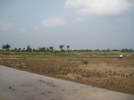 13909IMG_4191.JPG