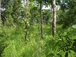 43679pic3.jpg
