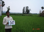 75470347b-rainfed-agriculture-rice.jpg