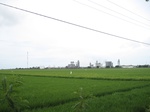 15771IMG_4860.JPG