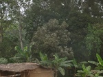 48646CIMG4983.JPG