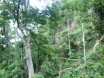 52003CIMG0751.JPG