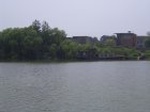1695R0015302_small.jpg