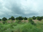 20878P1020742.JPG