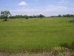 33557RIMG0222.JPG