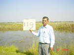 6666gt119-wetland-cropland-1.jpg