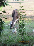 30022IMG_5367.jpg