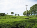 15096IMG_3916.JPG