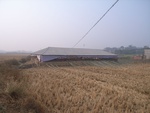 4566RIMG0018.JPG