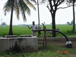75820358d-irrigated-supplemental-groundwater-rice-tripplecrop-rice-greengram.jpg