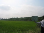 9268gt022b-cropland-irrigated-rice-plantations-mosaic.gif