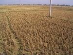 3180R0017214.JPG