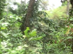 48801CIMG5138.JPG