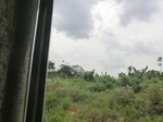 49646CIMG5983.JPG