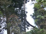 49083CIMG5420.JPG