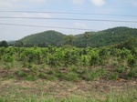 28110IMG_4911.JPG