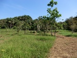 2012-08-31_10-24-25_CIMG0097.JPG