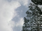 47346CIMG3683.JPG