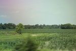 2024-06-17_22-04-57_370C0702-B372-40EF-8A47-B7A9A84A059D.jpeg
