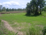 33565RIMG0230.JPG