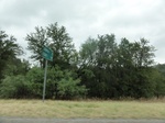 35843DSC02610.JPG