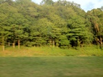 57780IMG_1067.JPG