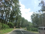 30577CIMG0368.JPG