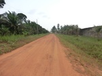 47336CIMG3673.JPG